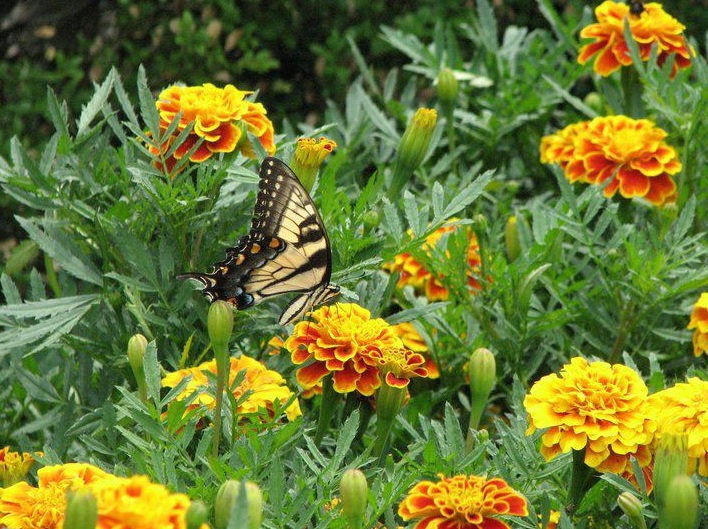 I’m Joining NutriSystem for the Ultimate Weight Smack Down #NSNation