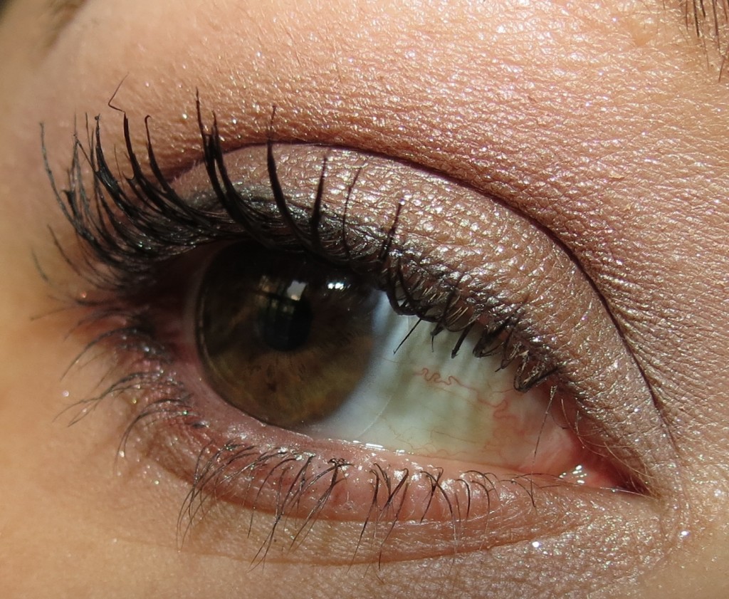 Estée Lauder ENCHANTED BERRIES Pure Color Eyeshadow Palette Swatches, Review & EOTD