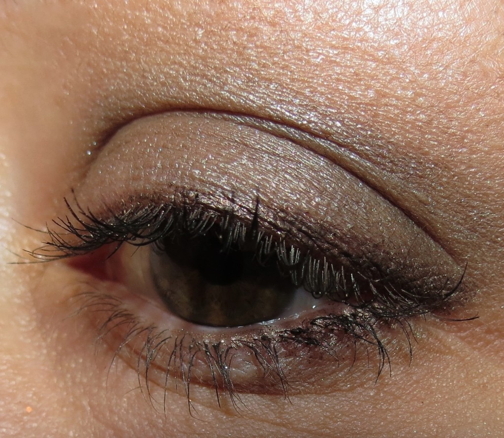 Tom Ford 02 SHE WOLF Ombre Eye Color Trio Swatches, Review & EOTD