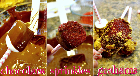 Smores on a stick valentine's day