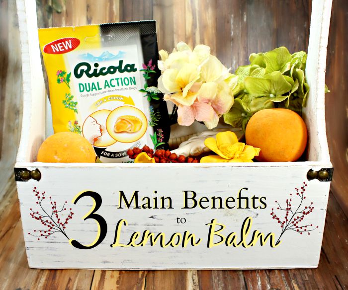 3 Main Benefits to Lip Balm #swissherbs